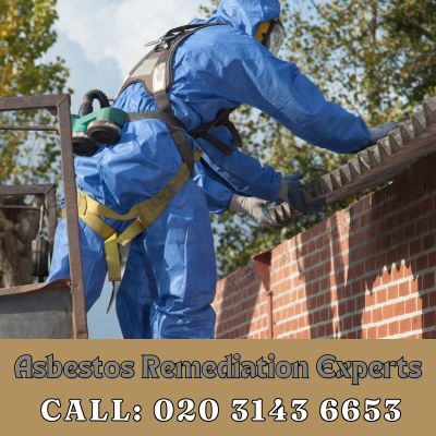 Asbestos Remediation Experts Elmers End