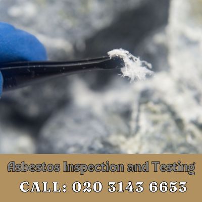 Comprehensive Asbestos Inspection and Testing Services in Elmers End